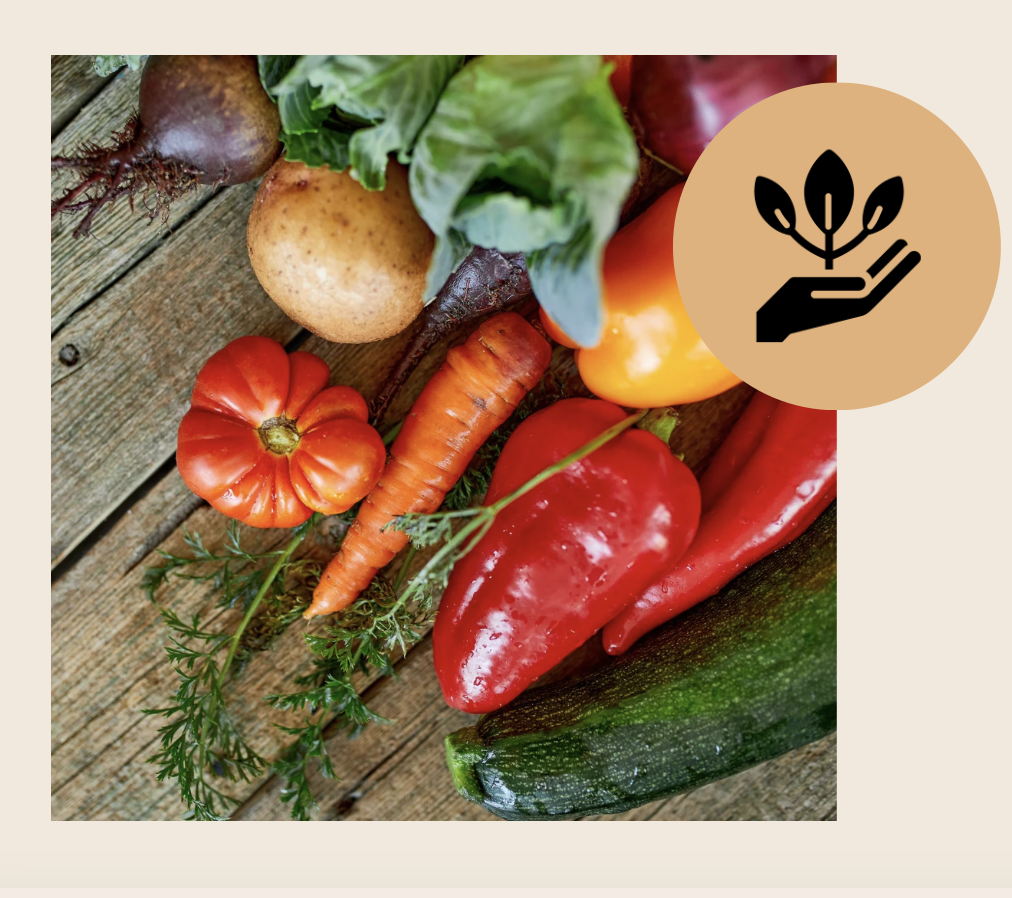 mélange de légumes frais